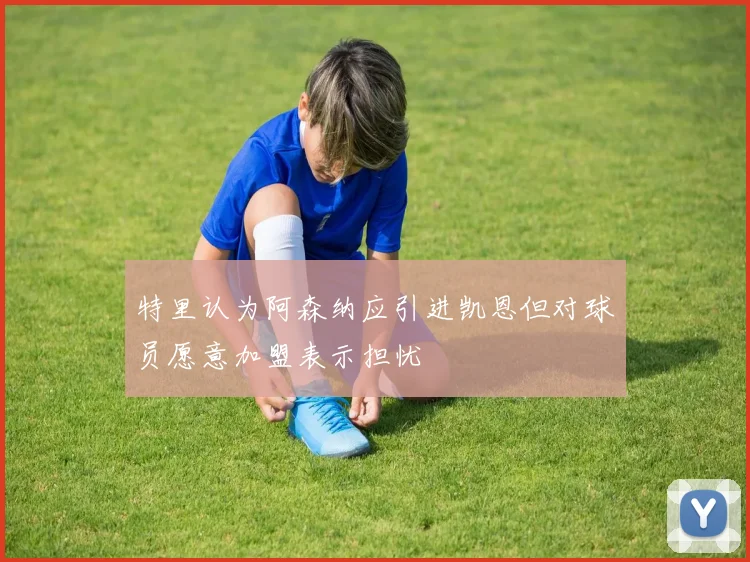 特里认为阿森纳应引进凯恩但对球员愿意加盟表示担忧